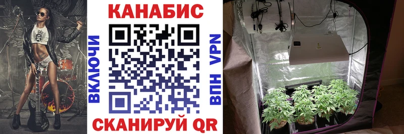 кракен ONION  Барыш  Марихуана Amnesia 